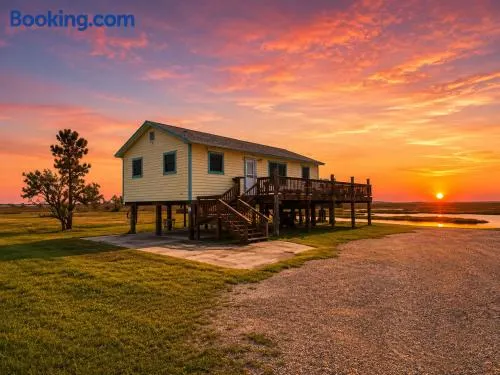 One Redfish Spot - Image 1