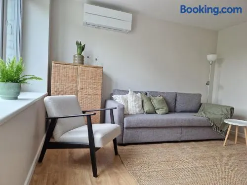 Cosy apartment in the center of Rusne - Image 1
