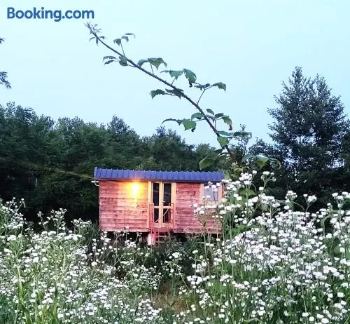 Glamping Casetta sul lago - Image 1