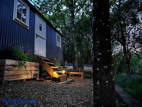 Cornwall Woodland Shepherd's Hut - Dennis Hut - Image 1