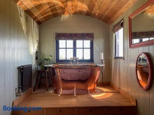 Novelist Shepherd's hut - Image 1