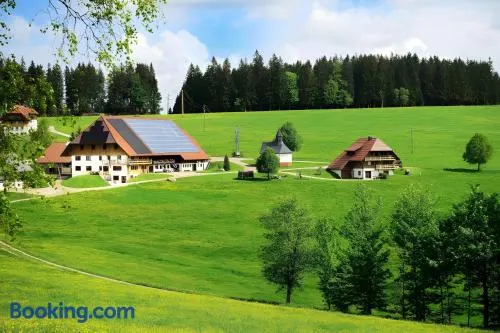 Holzhof - Image 1