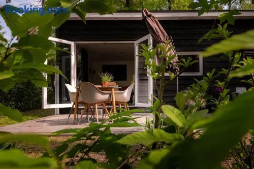 Tiny Damhert Veluwe Retreat - Image 1