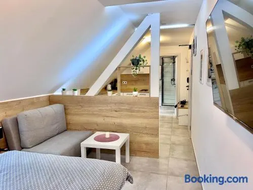 Apartmán U Bobovky - Lipno nad Vltavou - Image 1