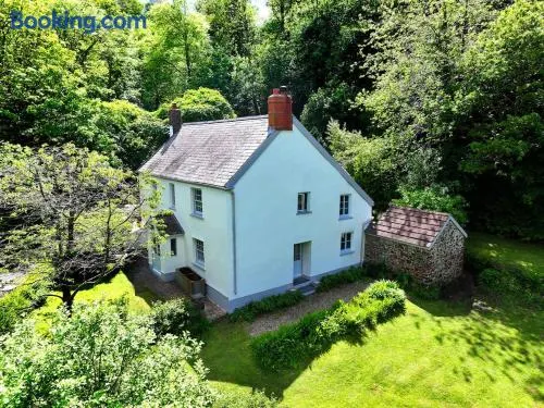 Idyllic cottage with large garden near the sea - Image 1
