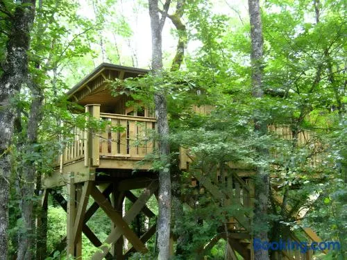 La Lodge Perchée Jurassic - Image 1