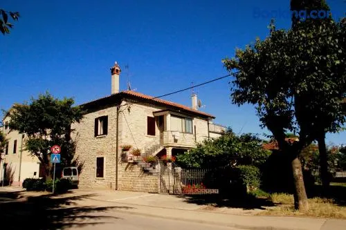 Studios Slavica - Image 1