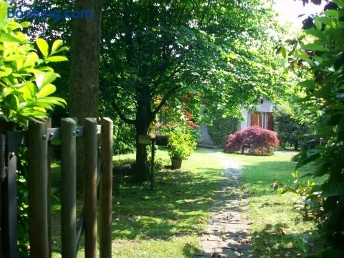B&B L'Albero Maestro - Image 1