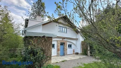 Pod Borovicí Broumy - Image 1