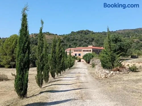 Camí Romà - Image 1