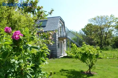 The Orchard - Image 1