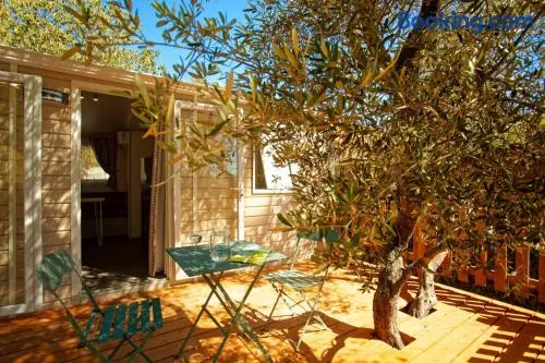 Camping l'Olivier Junas - Image 1