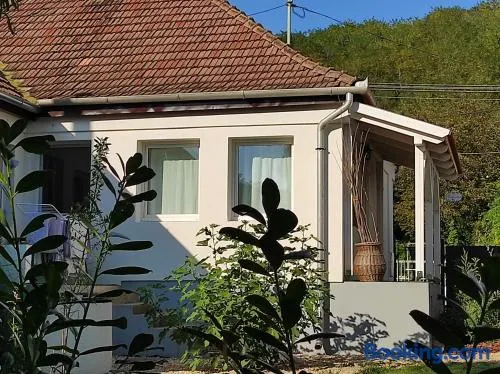 Szomolyai Vadvirág vendégház - Image 1