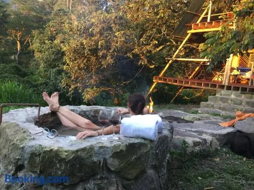 Glamping El Árbol en la Casa - Image 1