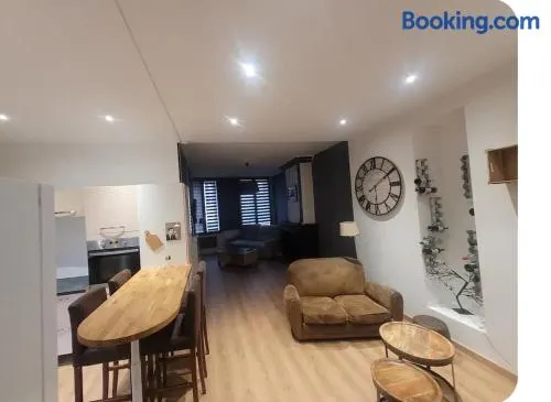 Appartement plein centre ville place des vosges - Image 1