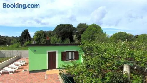 Villa Pinija - Image 1
