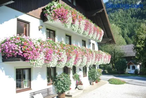 Treindlhof - Image 1