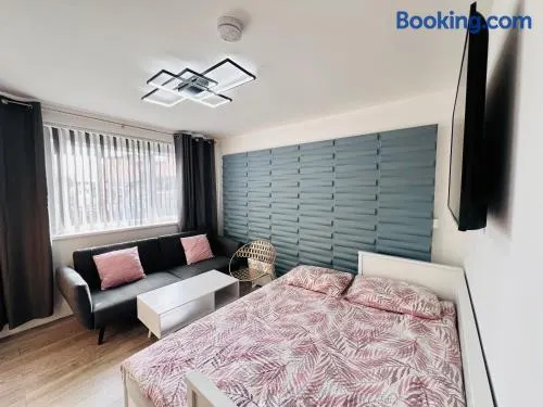 City Studio Apartment Swansea - Includes Free Parking - Image 1