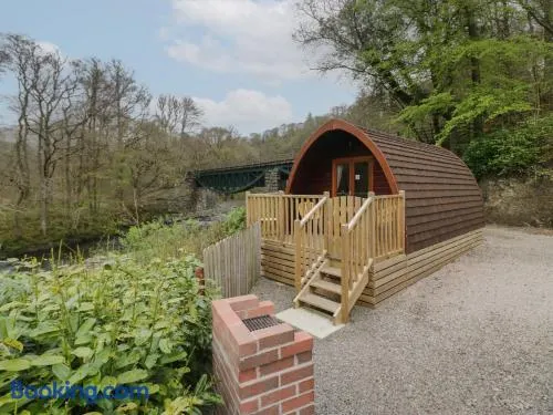 Pod No 5 - Image 1