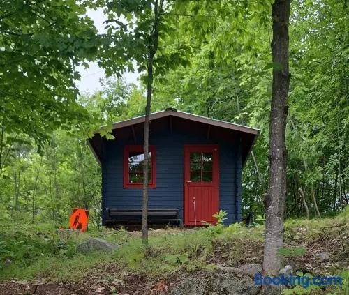 Shelley's Bay Bunkie #2 - Image 1