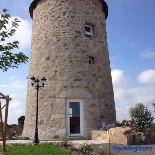 Moulin de vaire - Image 1