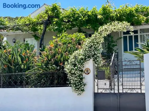 Bee Home - Holiday Cottage - Image 1