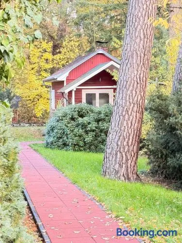 Chalet im Wald mit Sauna - Image 1