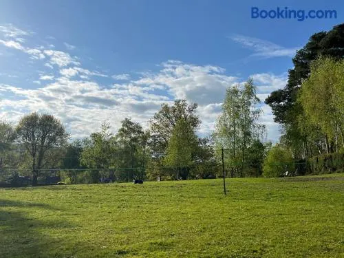 Camping in the South Downs countryside - Image 1
