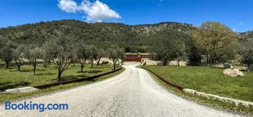 Son Barba - Image 1