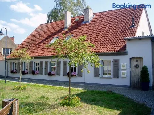 OG Die alte Stadtmühle direkt an der Flämingskate - Image 1