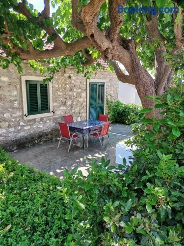 Apartments Kokotic - Image 1