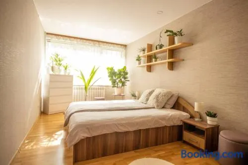 Beautiful & spacious apartment in Valmiera - Image 1