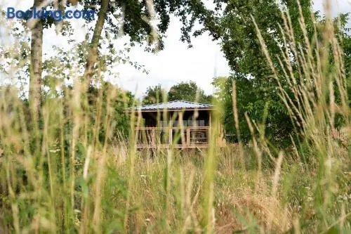 Ecau Lodge - Logement insolite à 30km de Pairi Daiza - Image 1