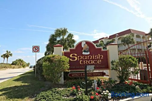 Spanish Trace 455 - Image 1