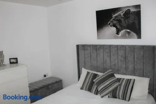 Lovely Modern Apartment Close to Town Centre - Image 1