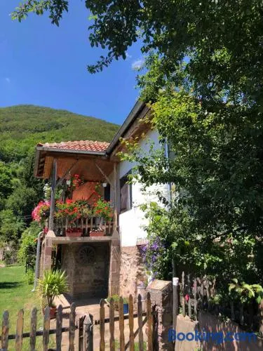 Stara planina, smestaj Ćirković - Image 1