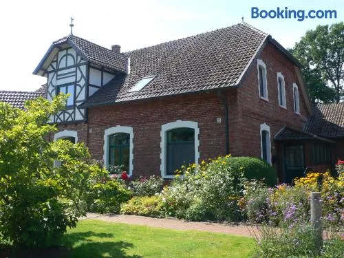 FEWO am Dümmer-See - Image 1