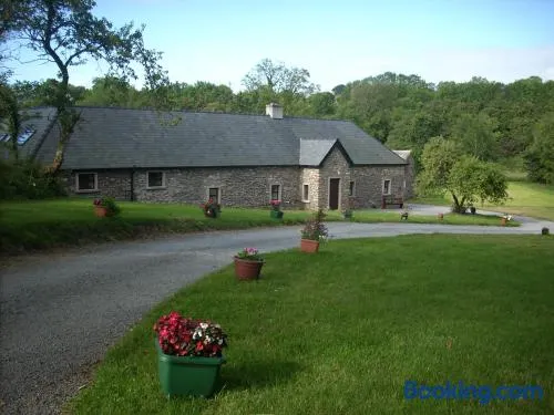 The Old House - Image 1