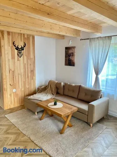 Hirsch Chalet Apuseni - Image 1