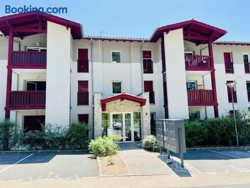 T2 Confort, 4 pers, Terrasse, Parking privé à Hasparren - FR-1-495-84 - Image 1