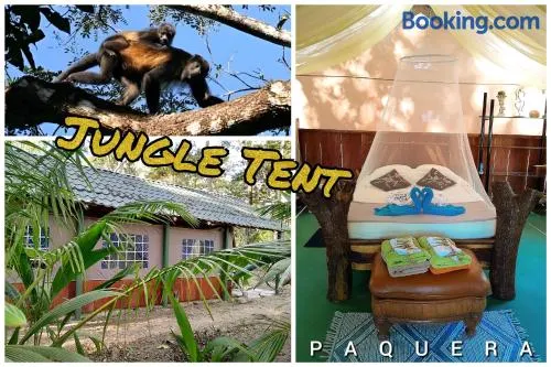 Fully Furnished FAMILY JUNGLE TENT, Latino Glamping Paquera - Image 1