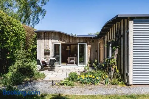 The Cabin - Image 1