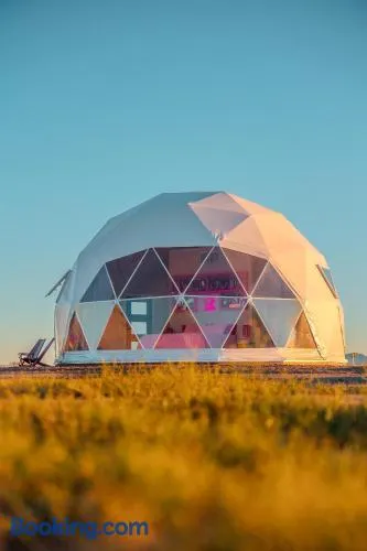 The Hive - Image 1