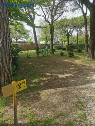 Camping Valdor Camper & Pitch - Image 1