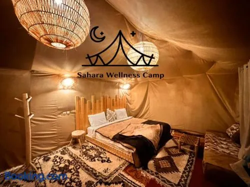 Sahara wellness camp - Image 1