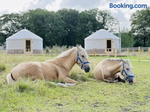 Magnolia Hoeve - Unieke Bestemming voor Paardenliefhebbers en Bijzondere Overnachtingen in de natuur - Image 1