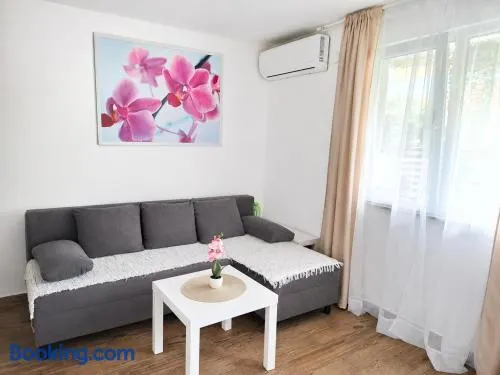 Apartmani Vlasina Sokobanja - Image 1