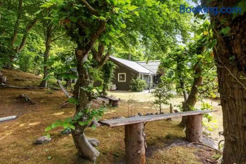 8881-Glesborg-Benzonstien-27 - Image 1