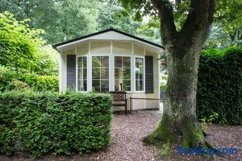 Chalet vakantie Wageningen - Image 1