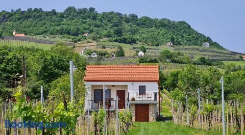 Jera Pince és Vendégház - Image 1